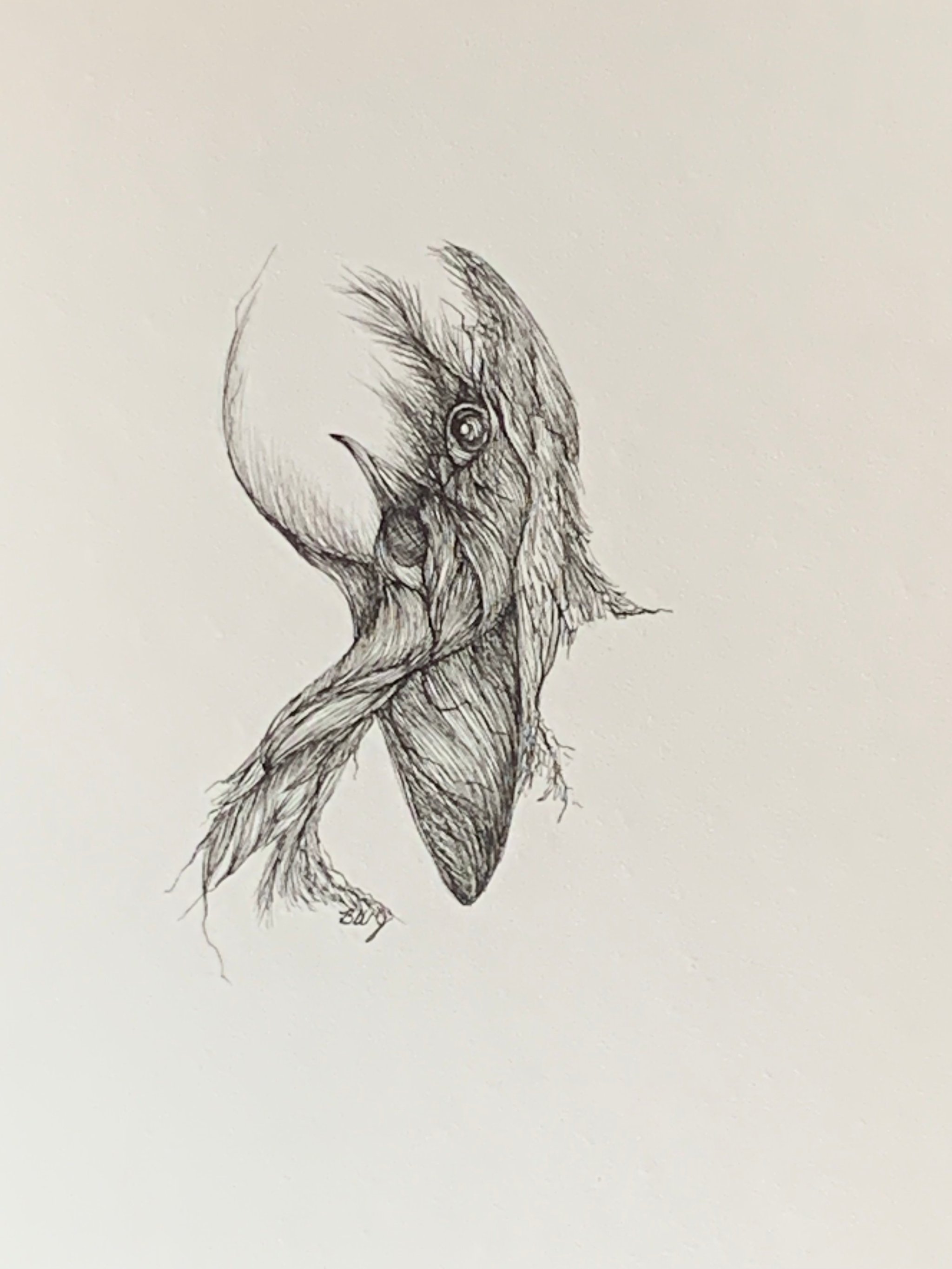 image for site