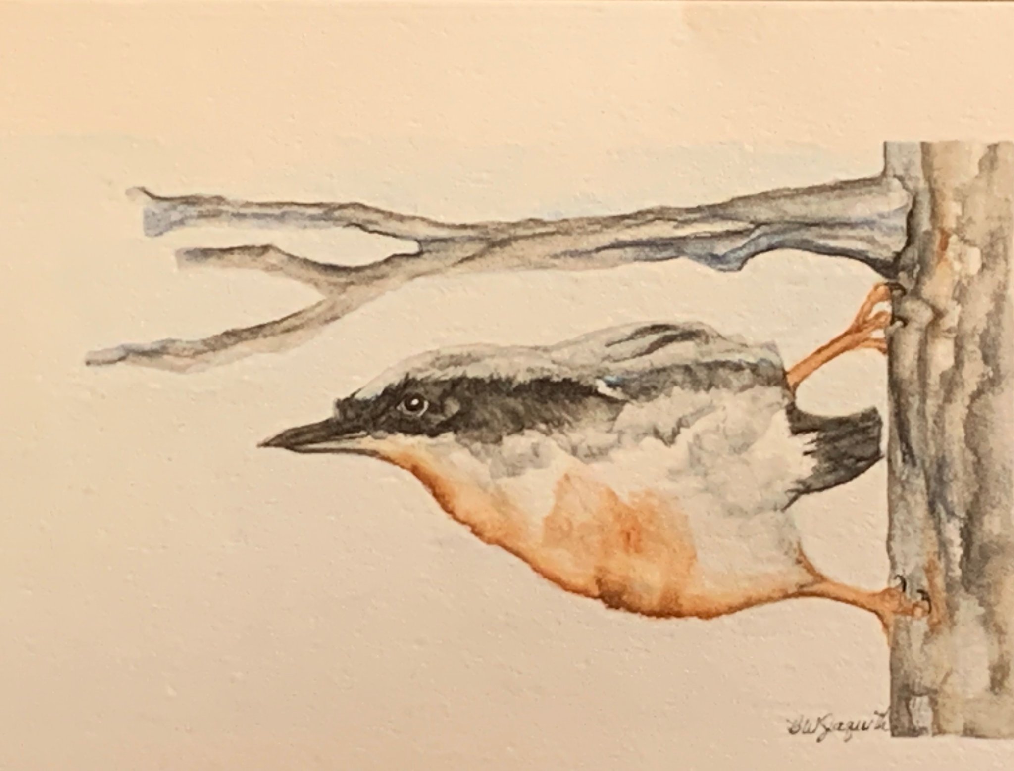 image for site