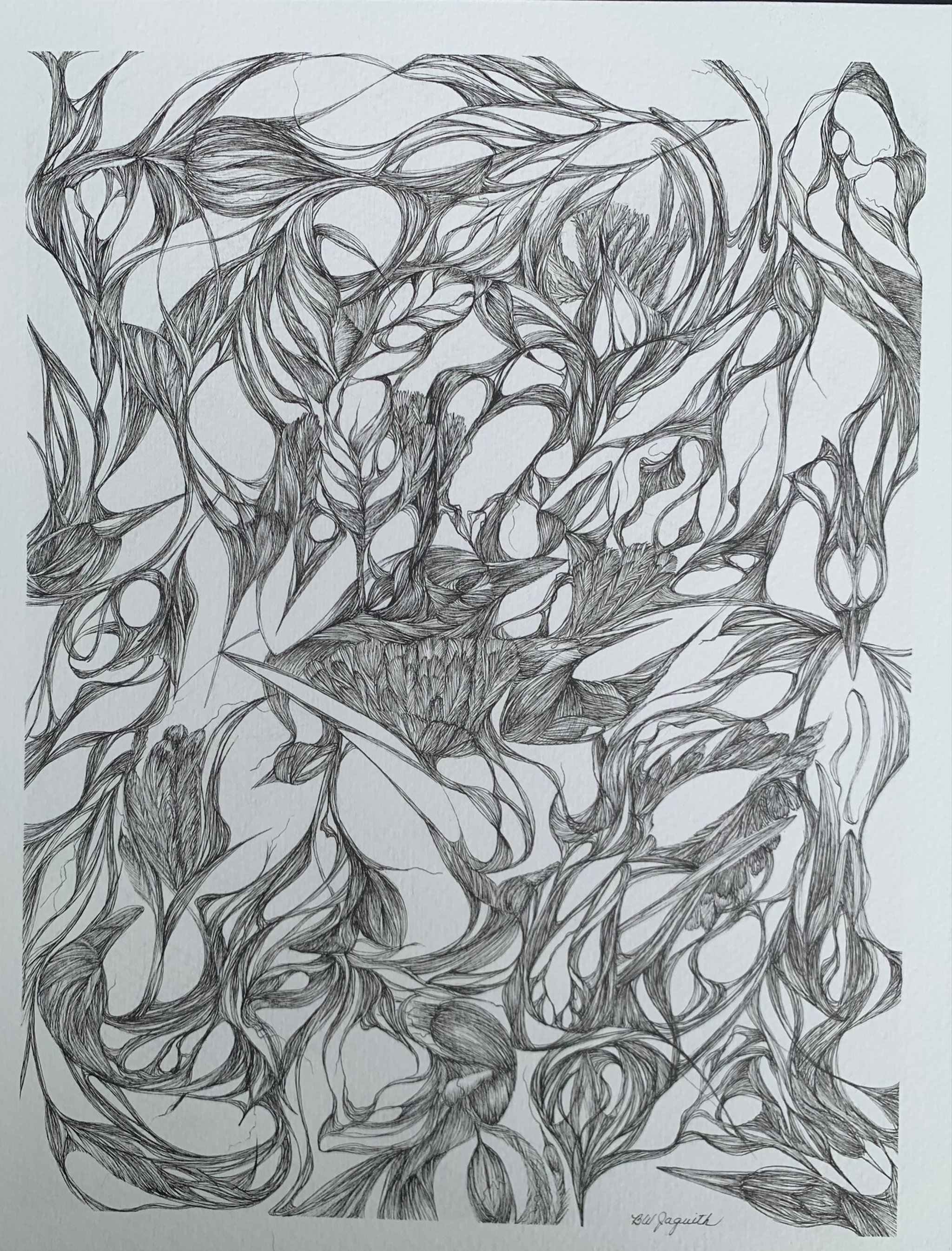 image for site