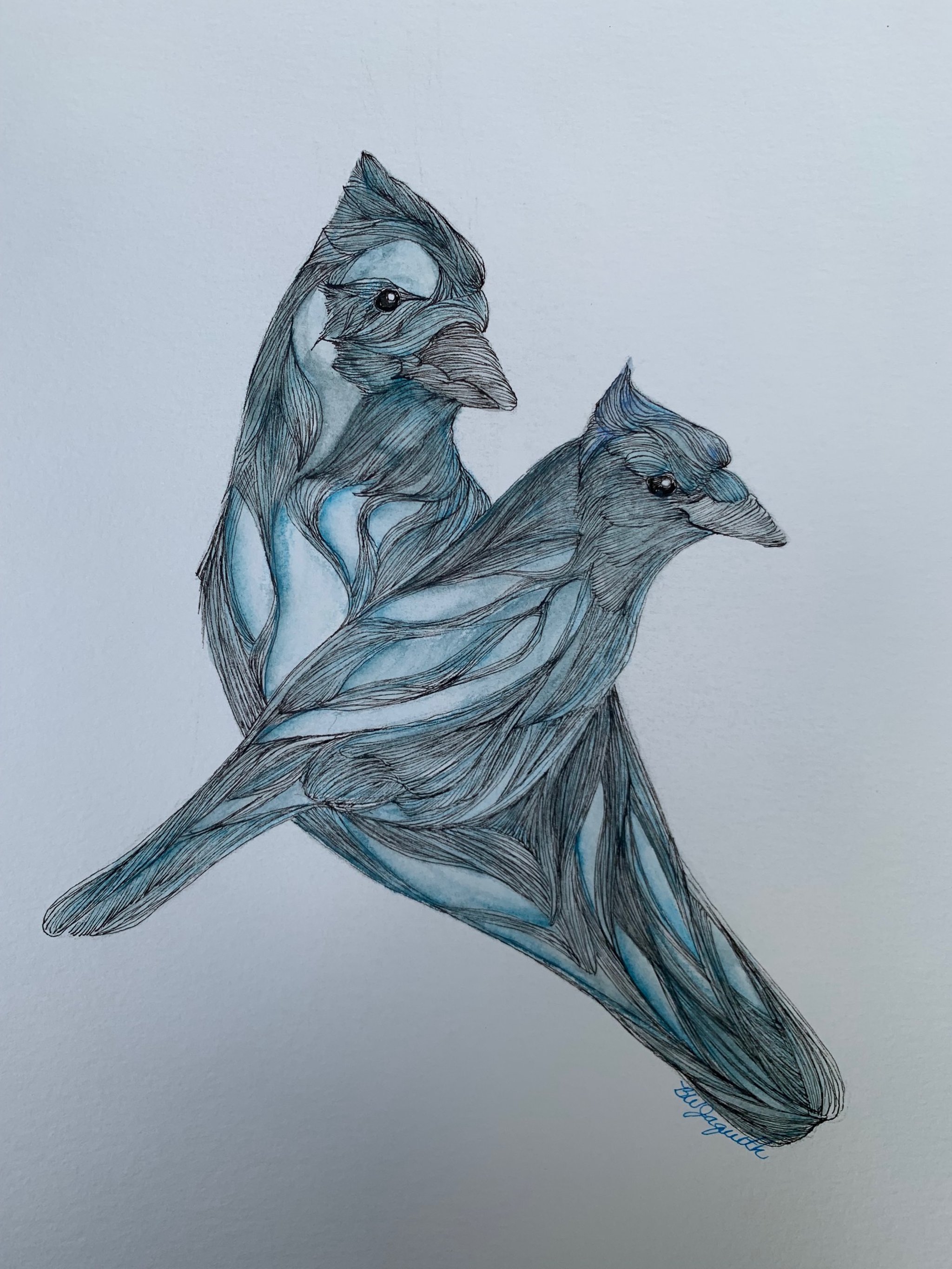 image for site