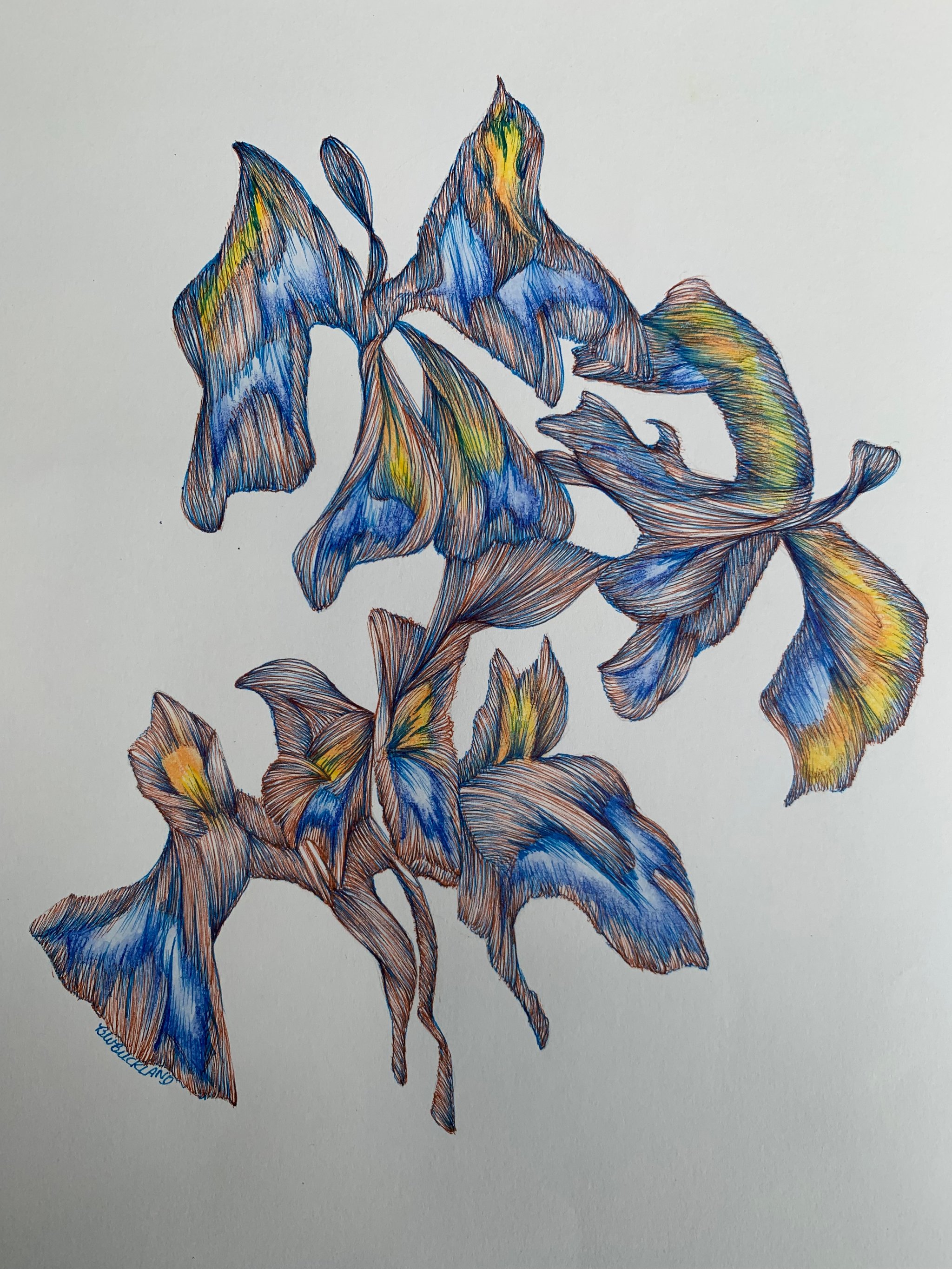 image for site