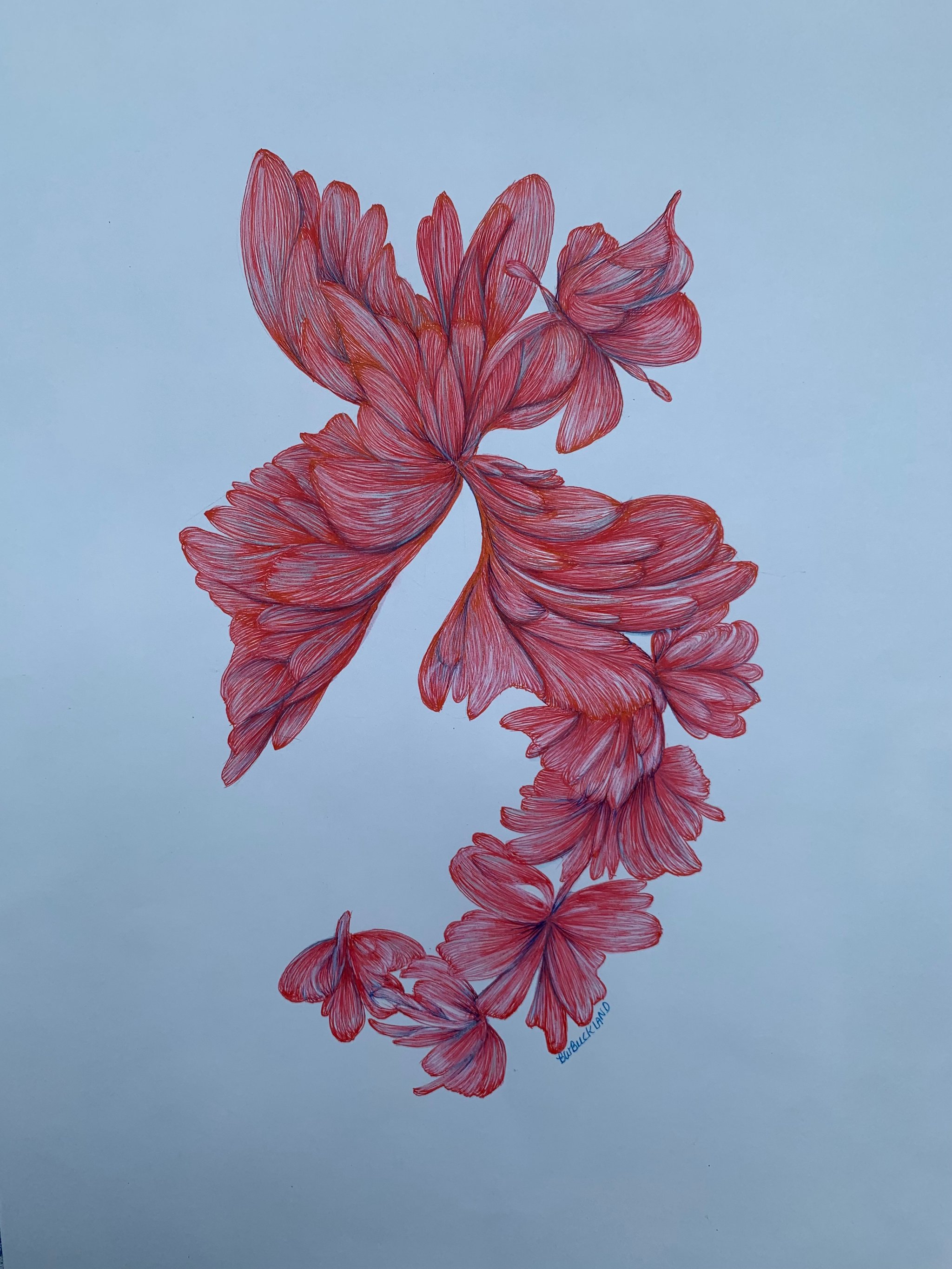 image for site
