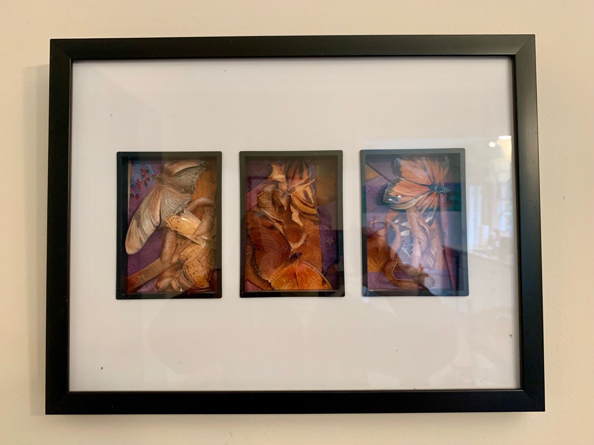 image for site