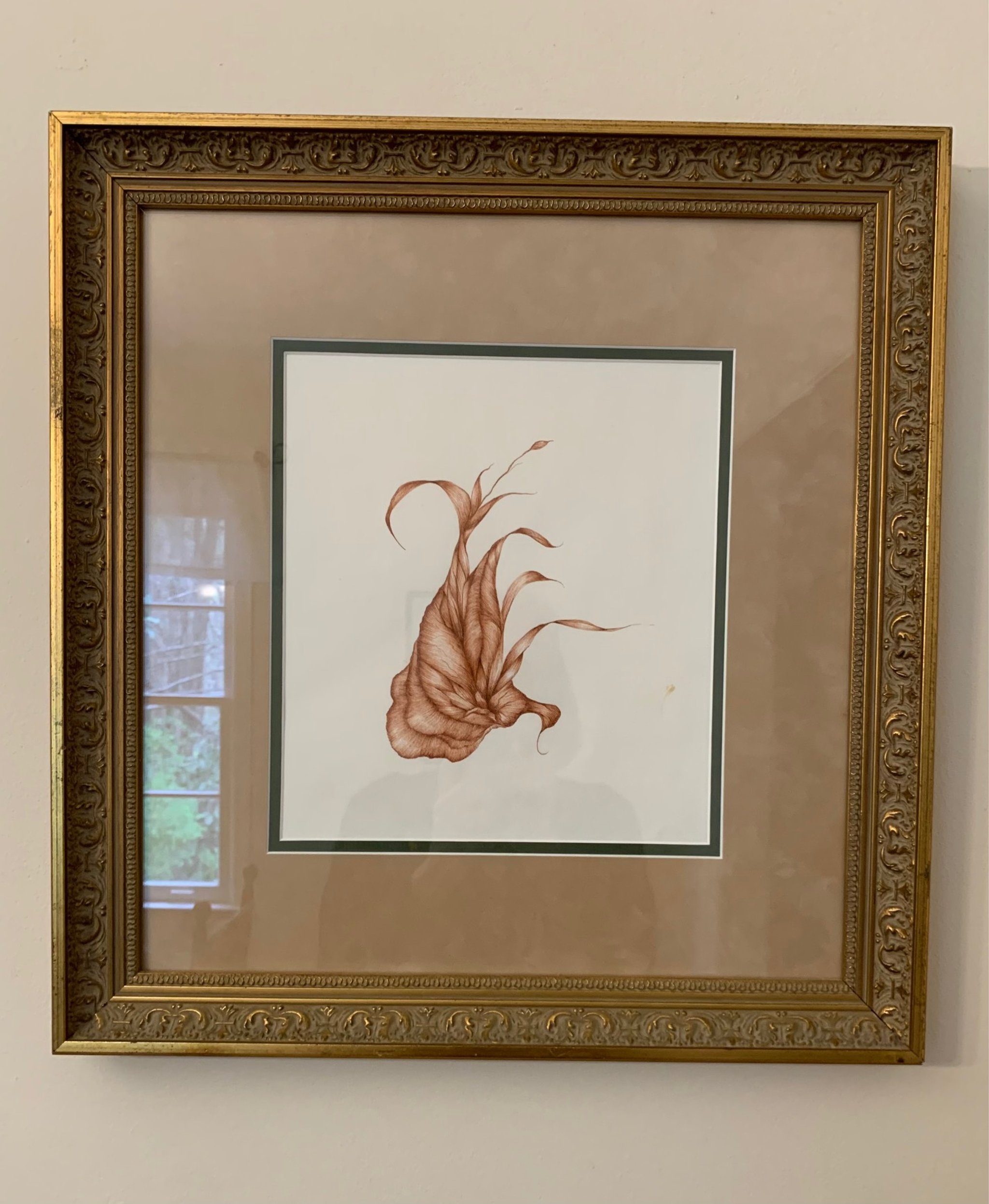 image for site