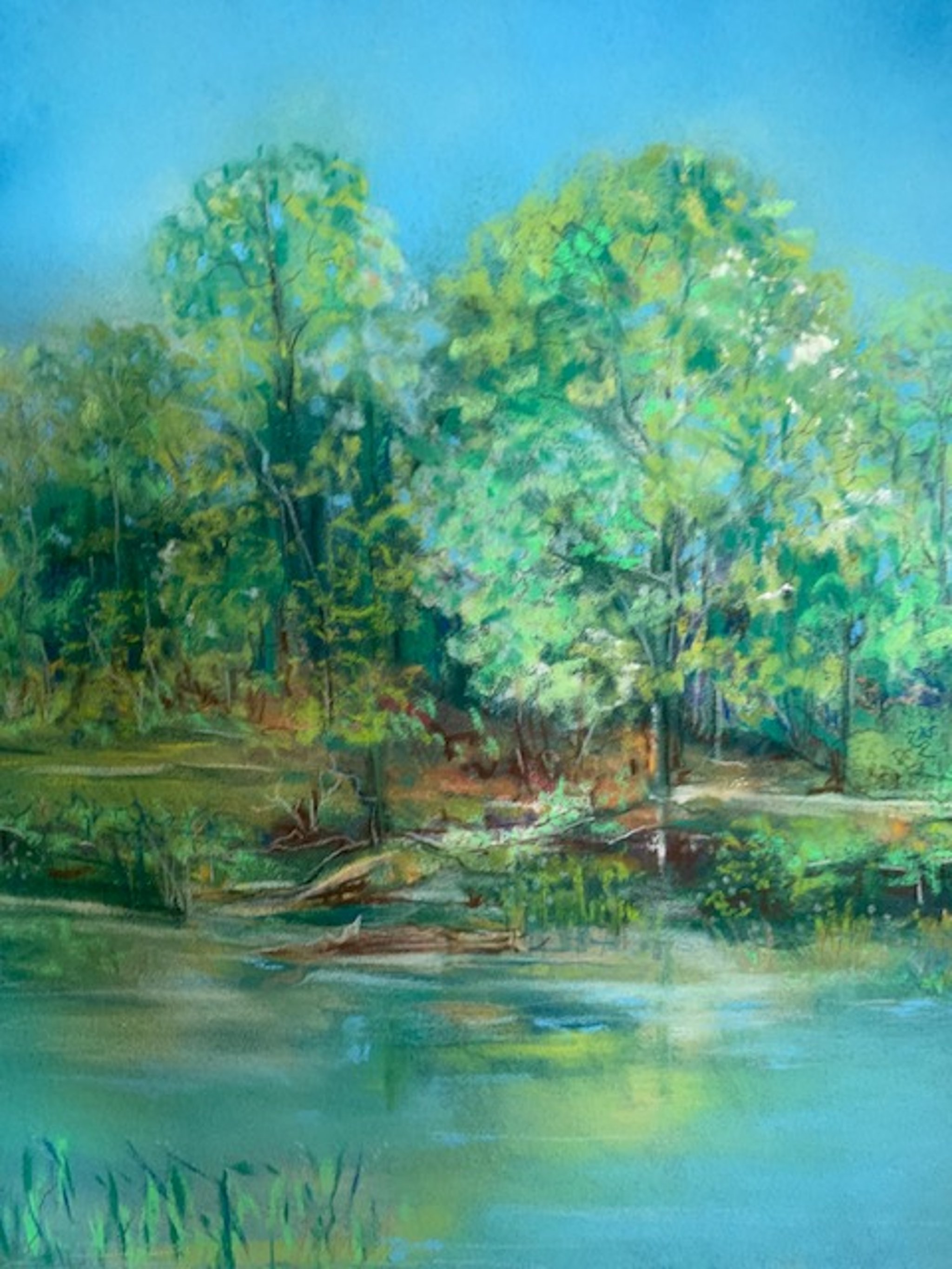 image for site
