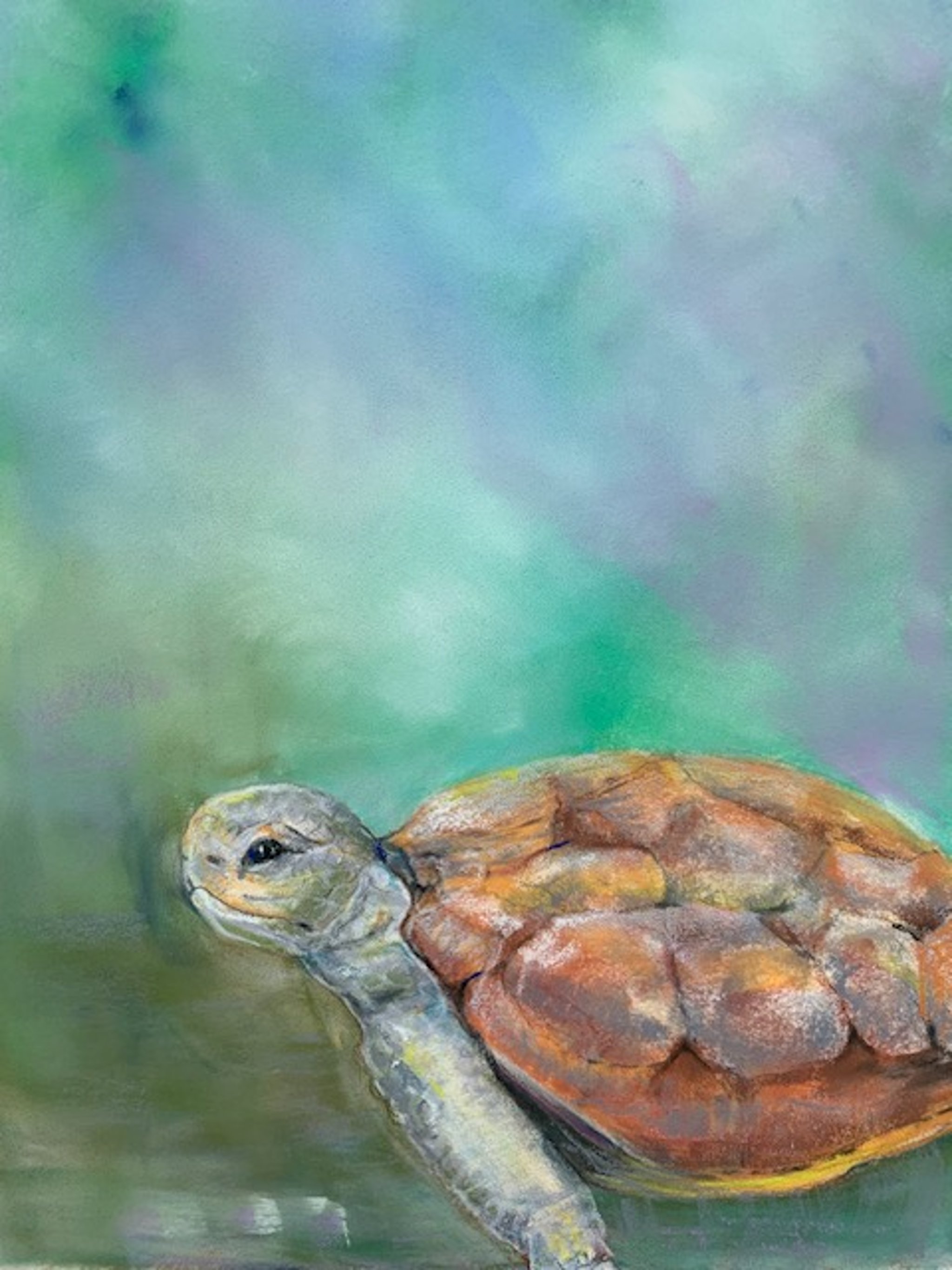 image for site