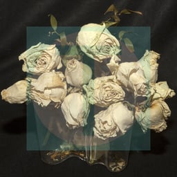 image for site