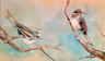 image for site