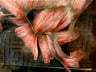 image for site