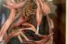 image for site