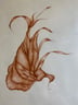 image for site