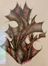 image for site